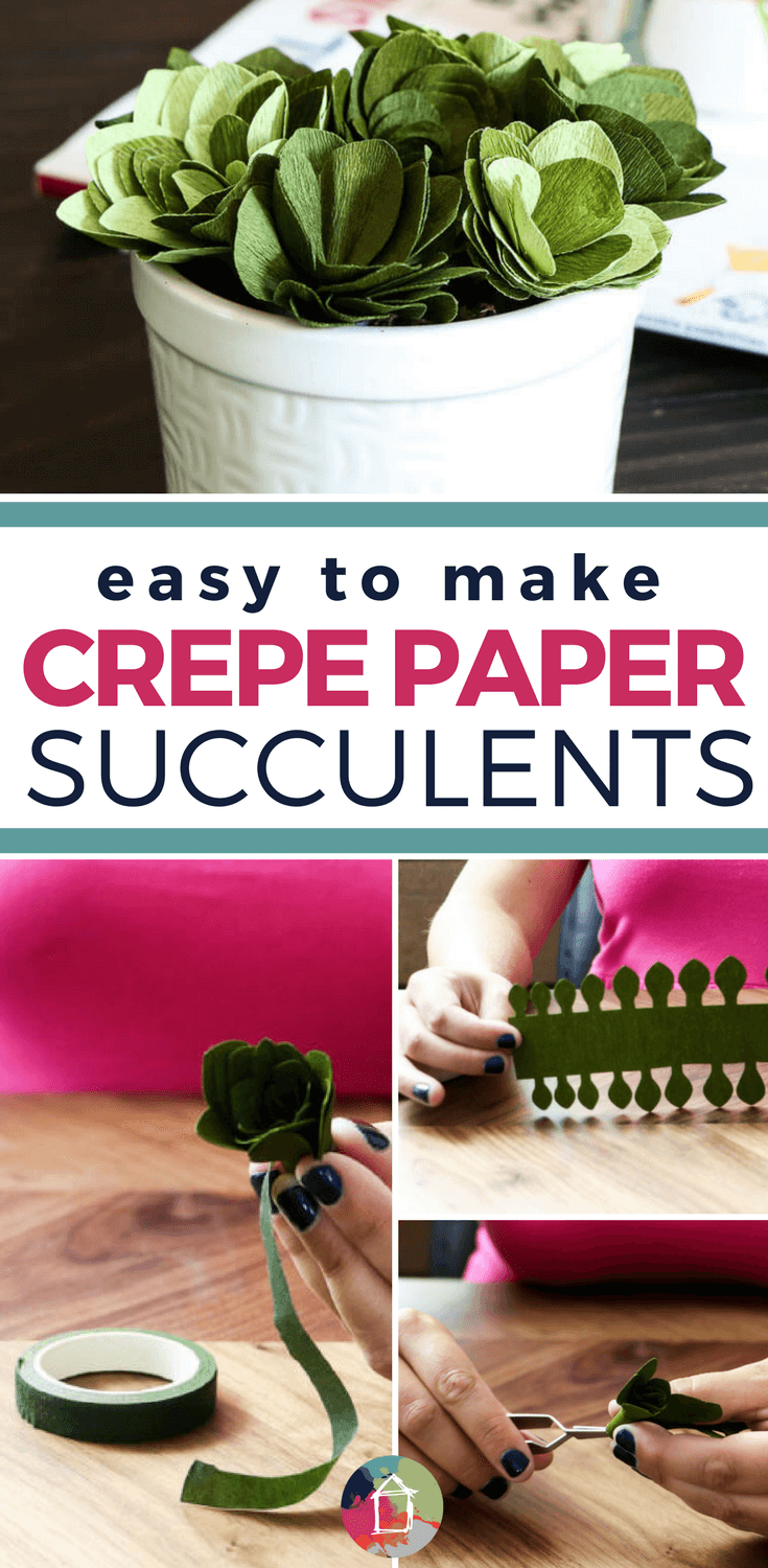 cricut cutting review: diy crepe paper succulents