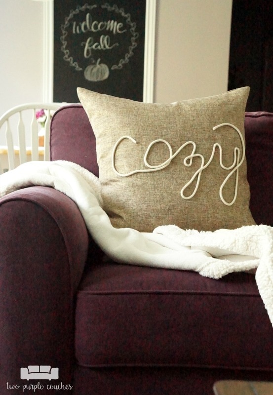 Cute Throw Pillows That You Can DIY or Buy! Designertrapped.com